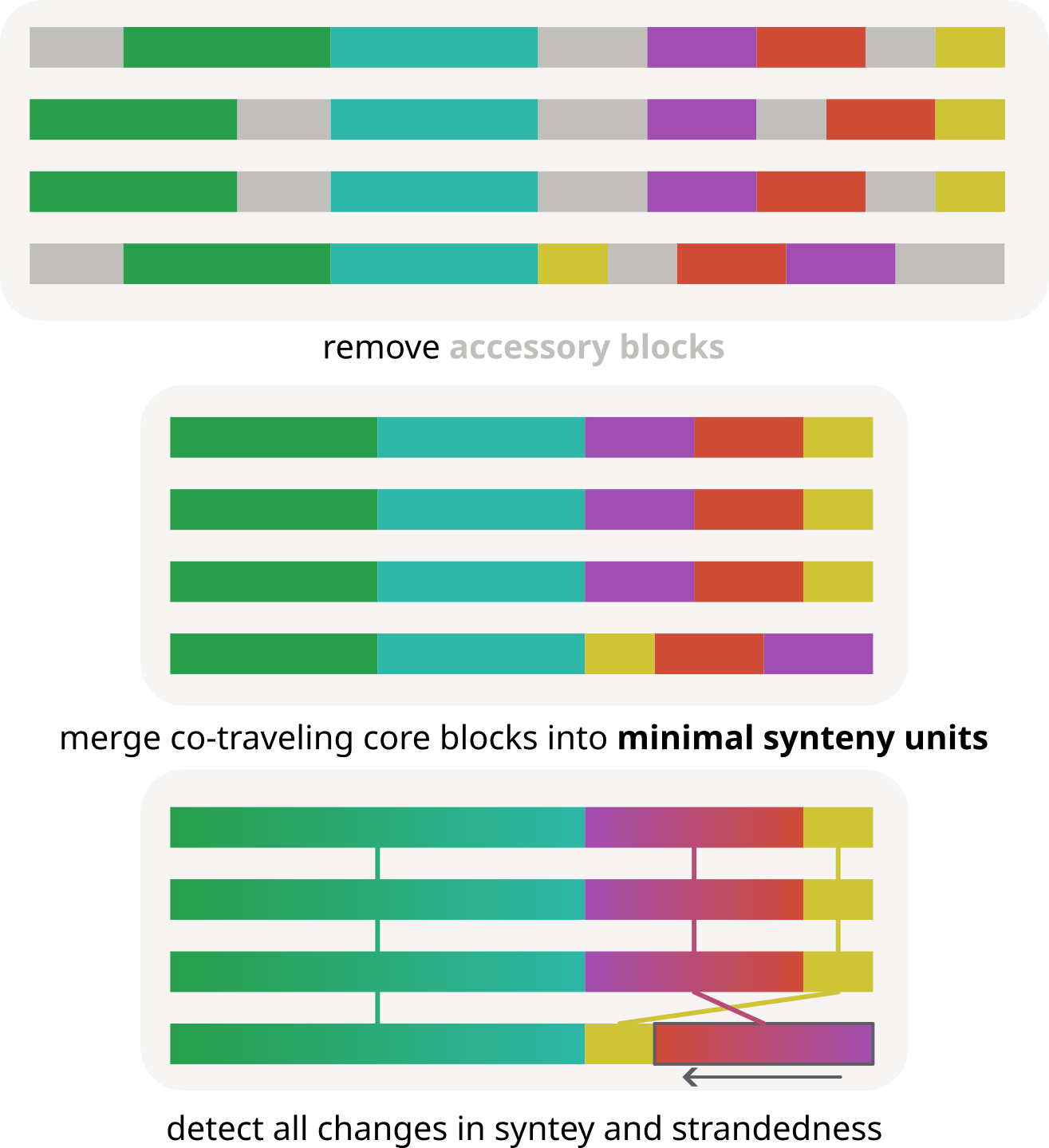 minimal synteny units