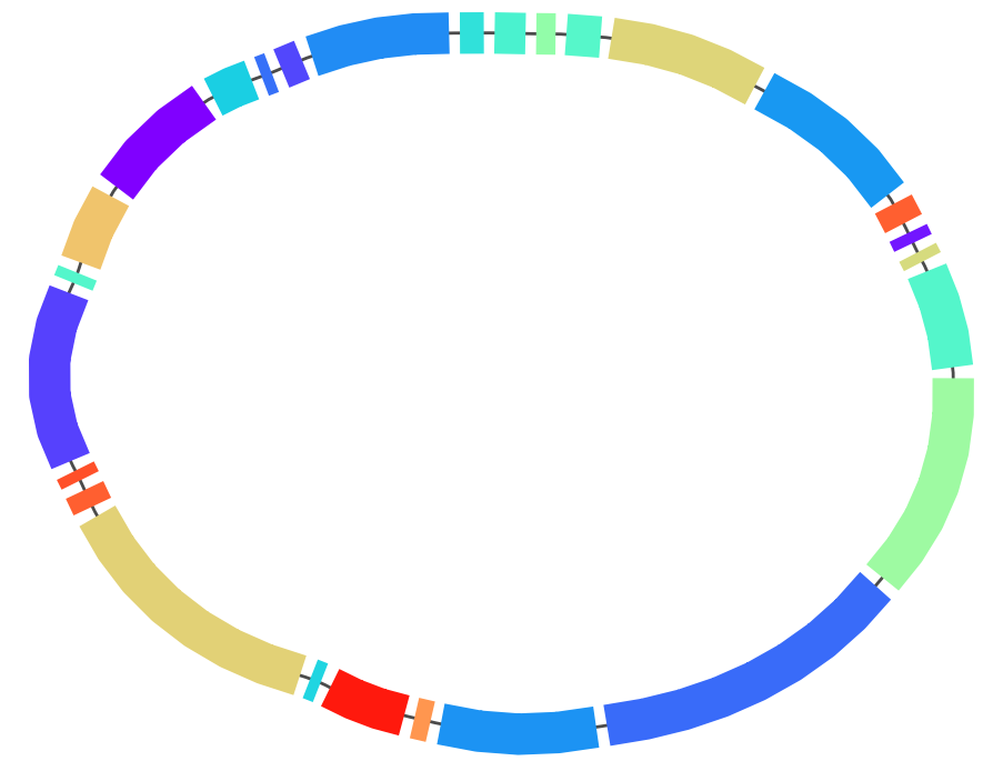 plasmids bandage