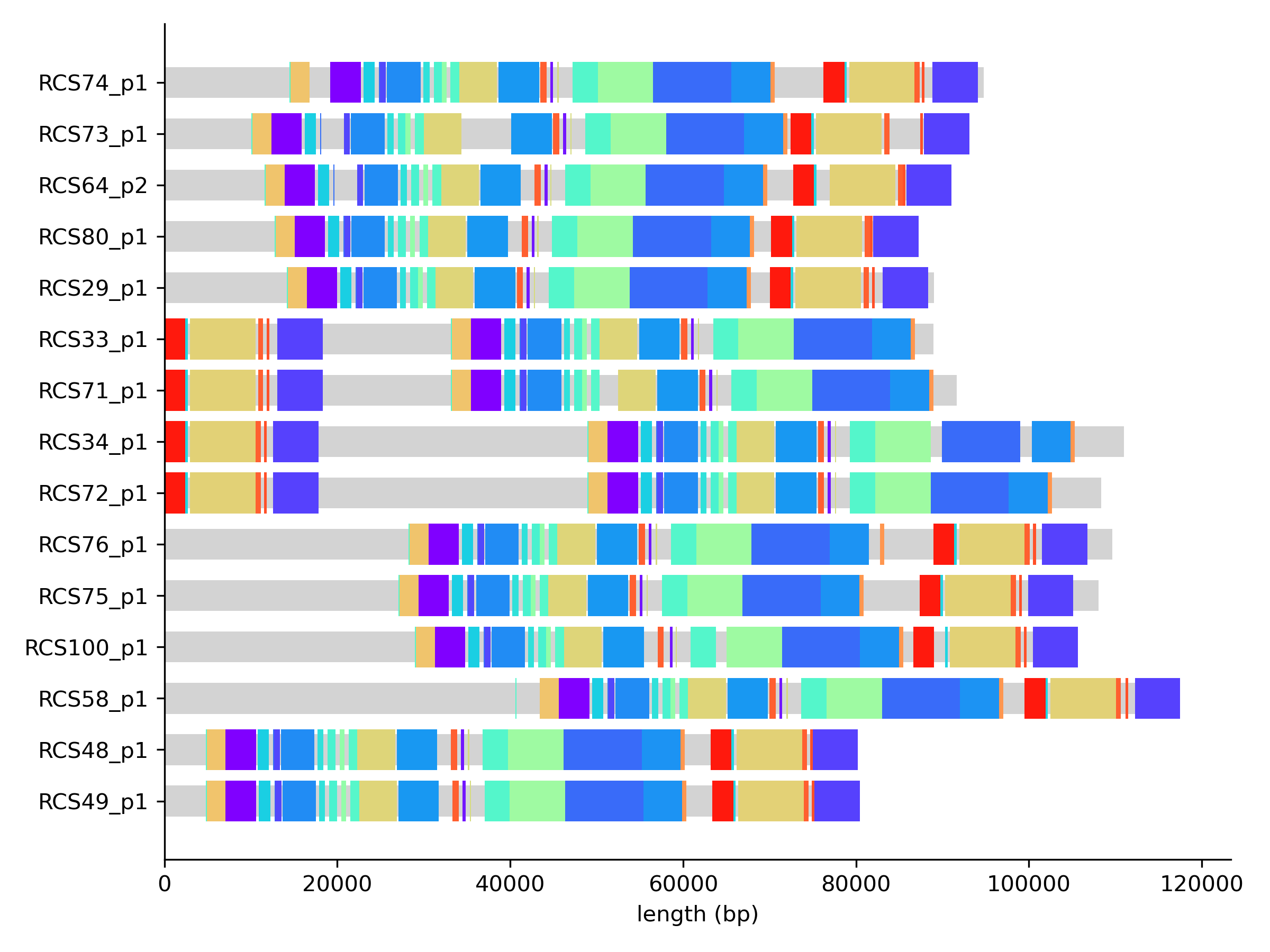 plasmid paths