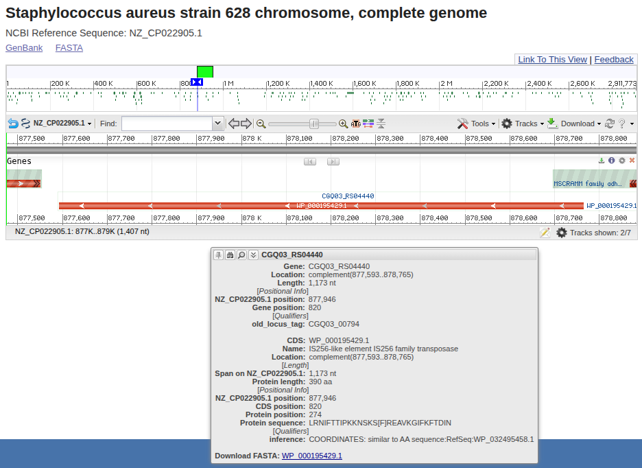 NCBI genome viewer screenshot