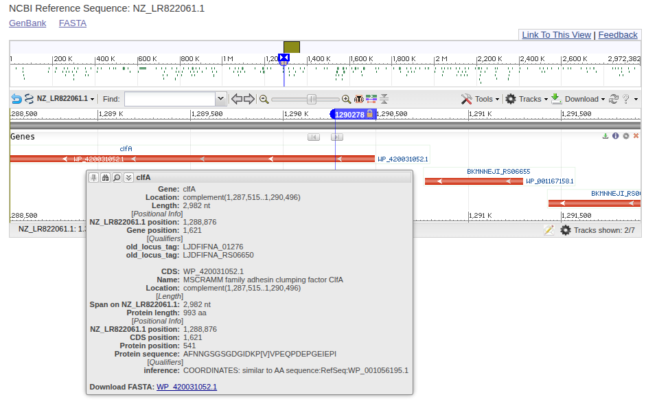 NCBI genome viewer screenshot 2