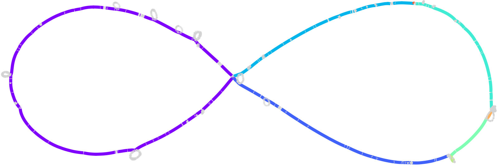 junction-context GFA with scaffold="all" in Bandage